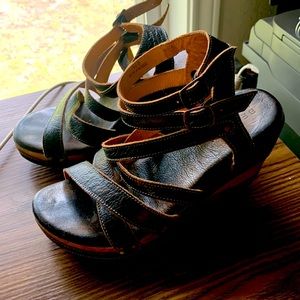 These wedges need a new home.